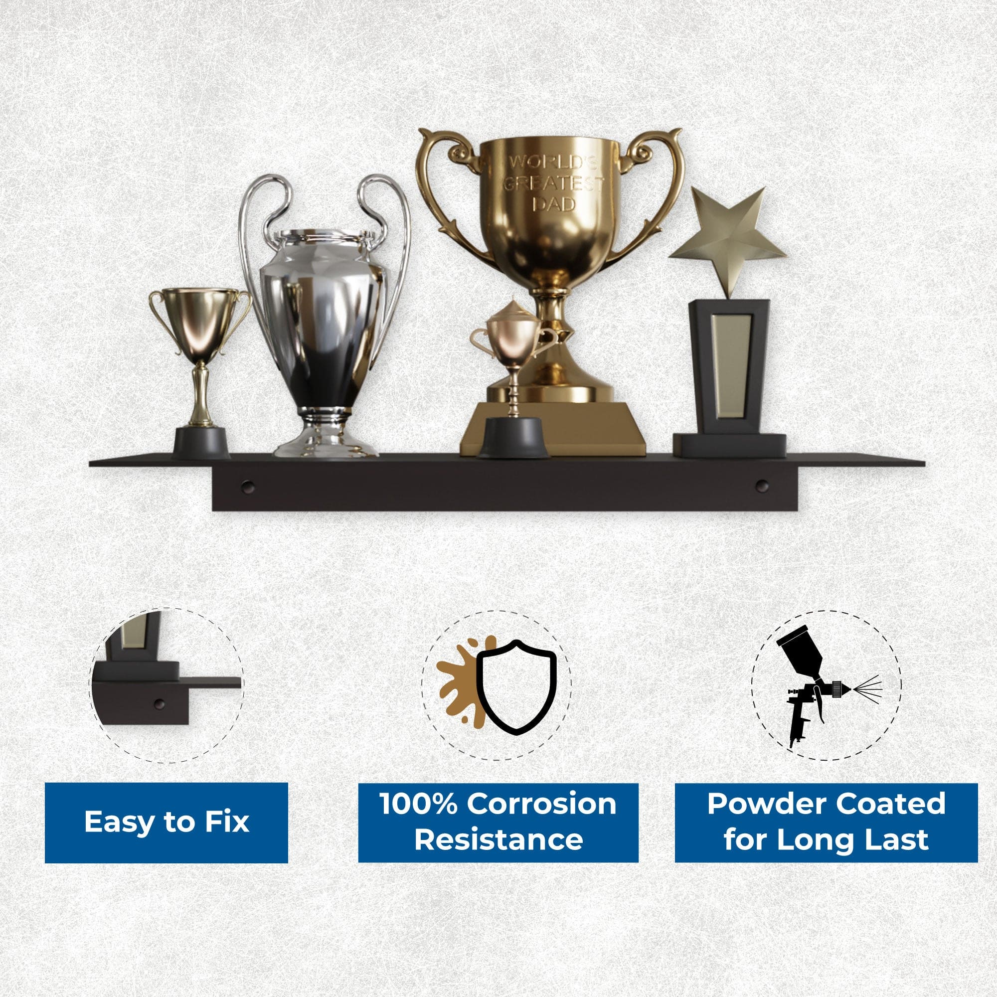 Trophy Shelf Display