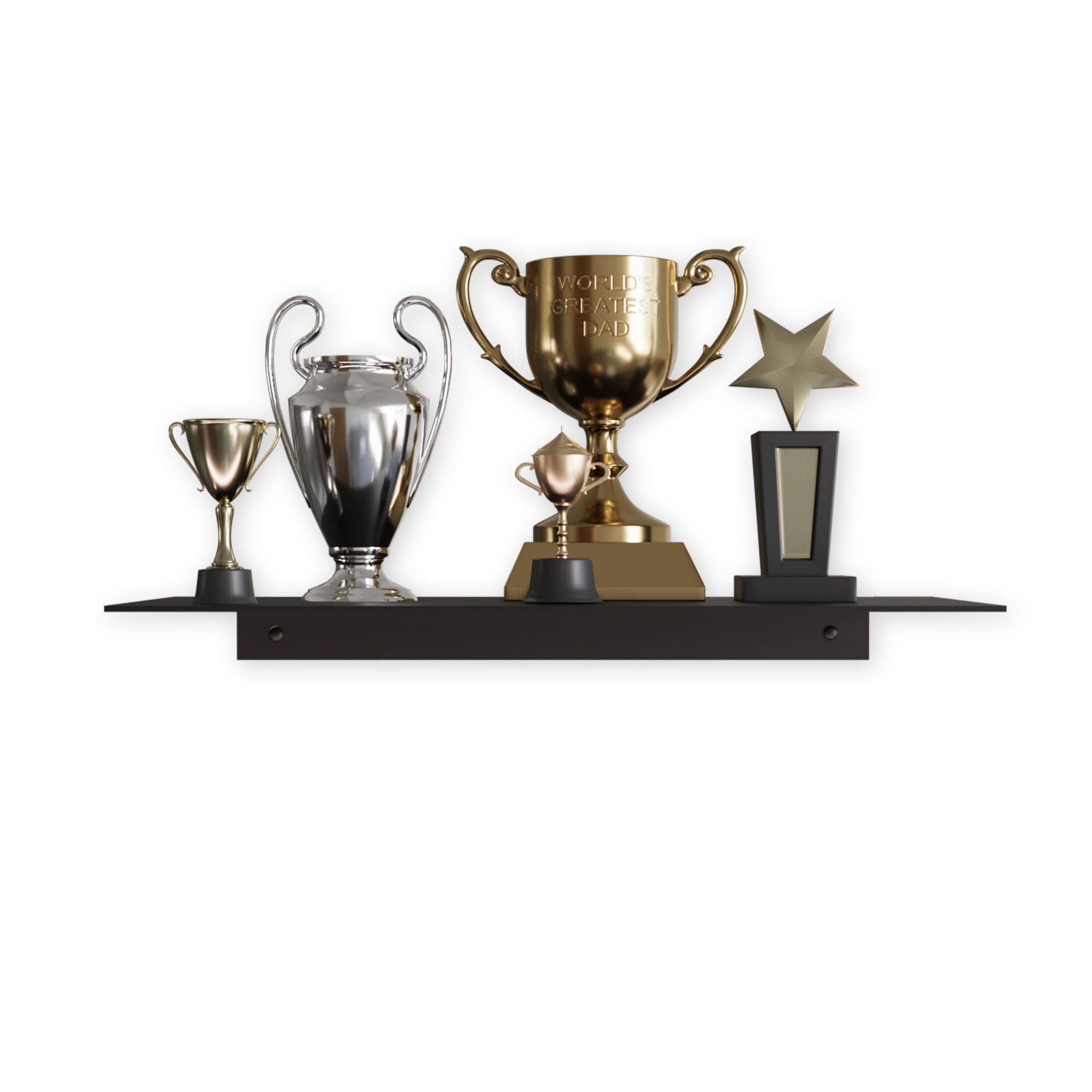 Trophy Shelf Display