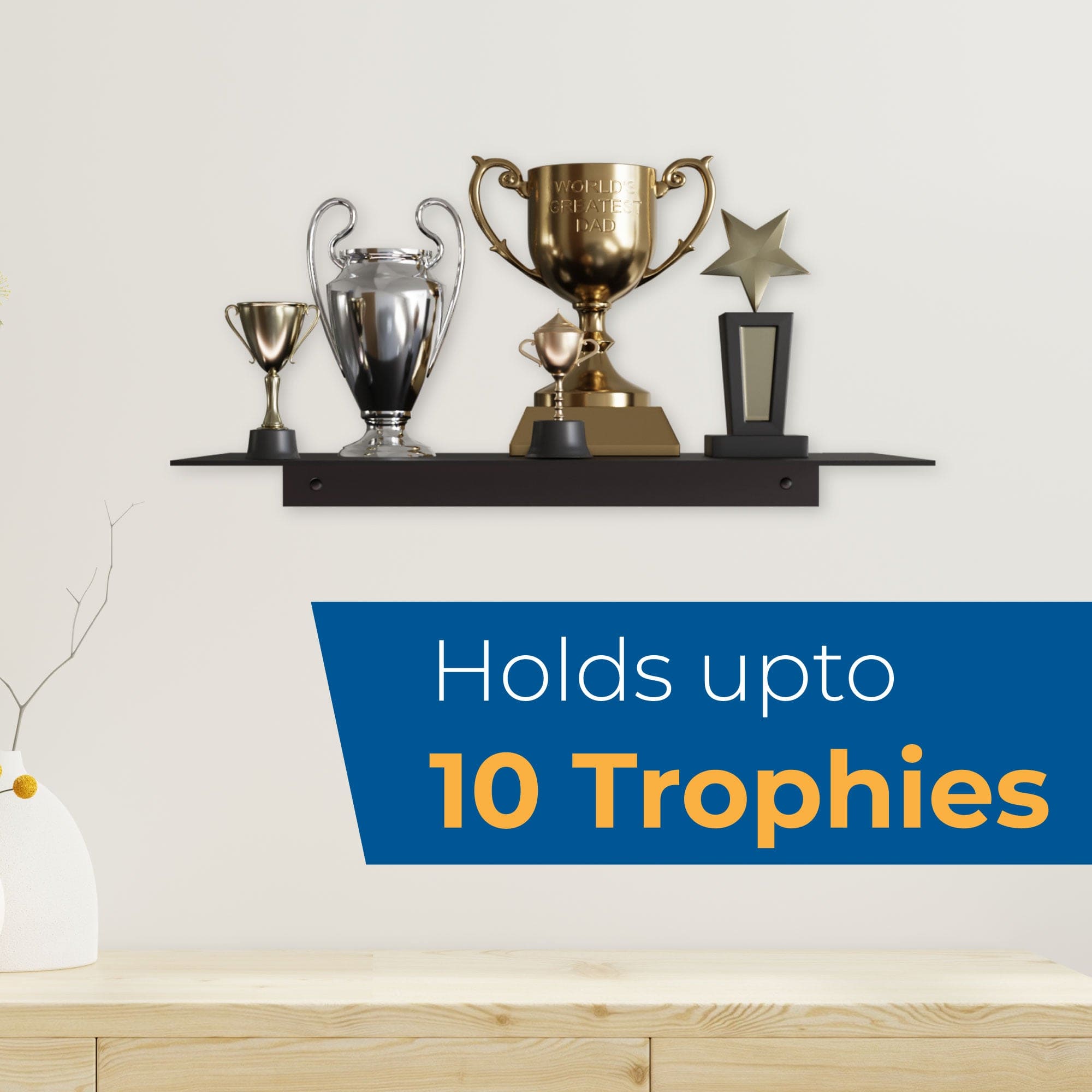 Trophy Shelf Display