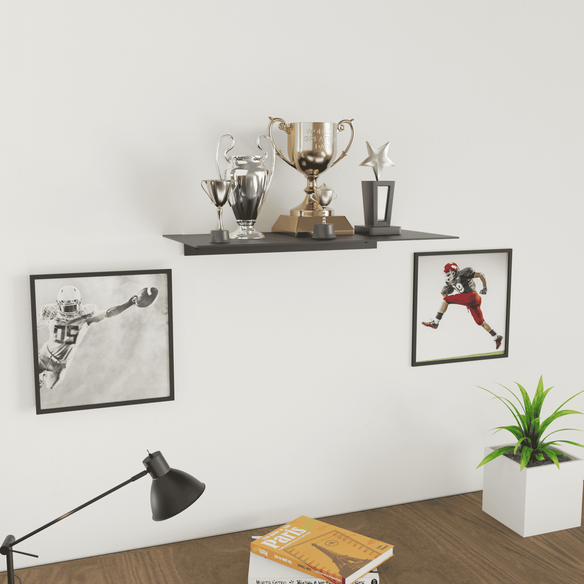 Trophy Shelf Display